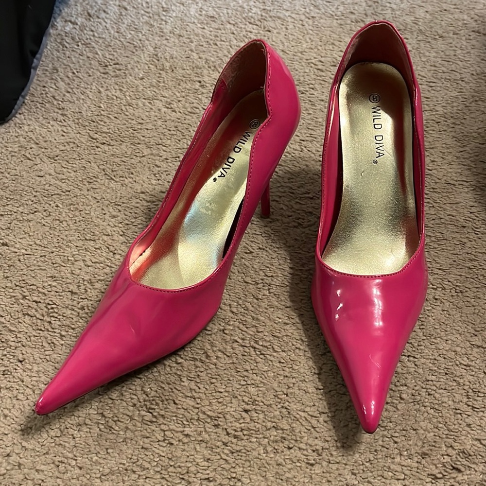 Wild Diva stiletto pointed heel